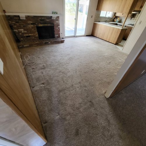 Carpet-Cleaning-Service-Thousand-Oaks-CA-391 (1)