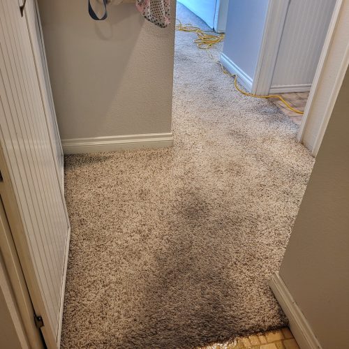 Carpet-Cleaning-Service-Thousand-Oaks-CA-393 (1)