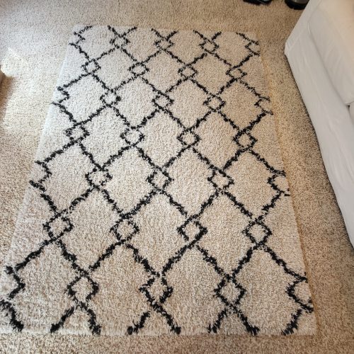 Carpet-Cleaning-Service-Thousand-Oaks-CA-394 (1)