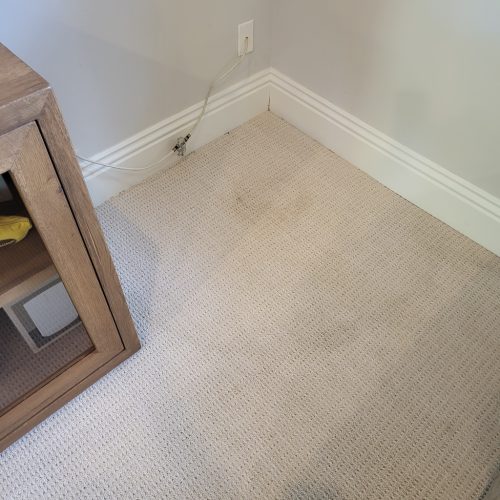 Carpet-Cleaning-Service-Thousand-Oaks-CA-395 (1)