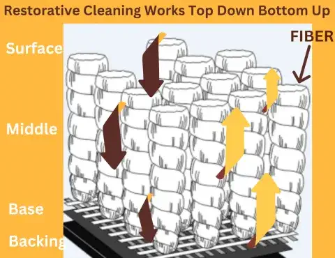 Carpet-Cleaning-Service-Thousand-Oaks-CA-398