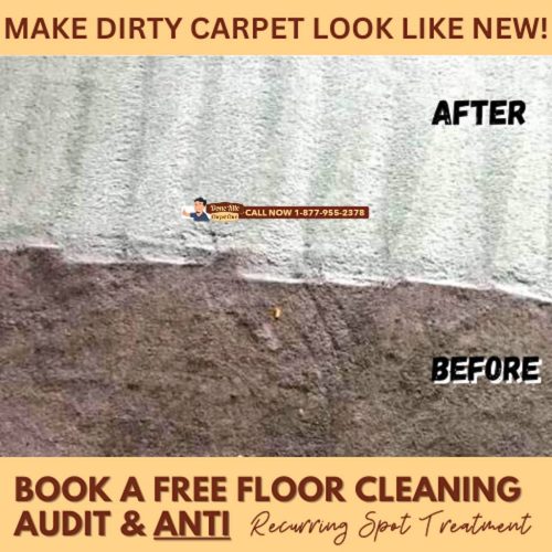 Carpet-Cleaning-Service-Thousand-Oaks-CA-53