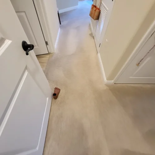 Carpet-Cleaning-Service-Thousand-Oaks-CA-6-16-26-002