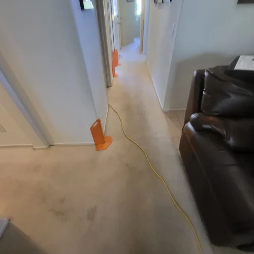 Carpet-Cleaning-Service-Thousand-Oaks-CA-6-16-26-004