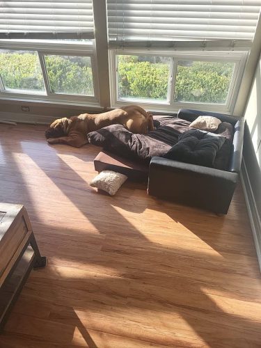 Carpet-Cleaning-Service-Thousand-Oaks-CA-6-29-26-2