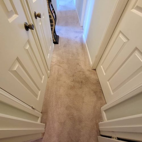 Carpet-Cleaning-Service-Thousand-Oaks-CA-6-29-26-4