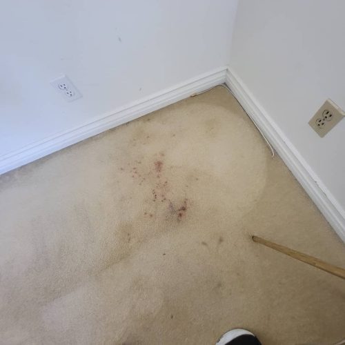 Carpet-Cleaning-Service-Thousand-Oaks-CA-67