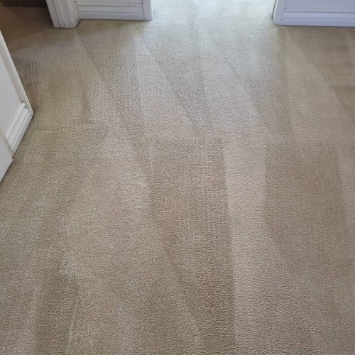 Carpet-Cleaning-Service-Thousand-Oaks-CA-69