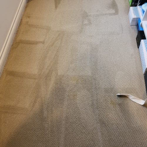 Carpet-Cleaning-Service-Ventura-11