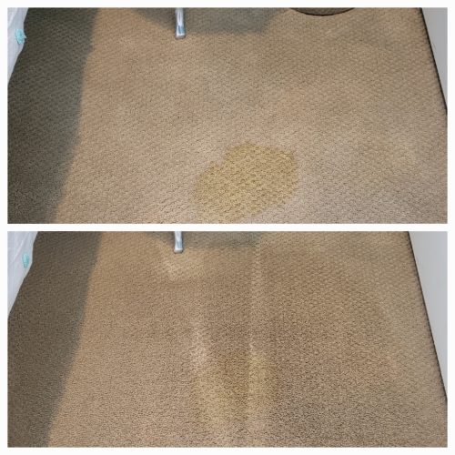 Carpet-Cleaning-Service-Ventura-12