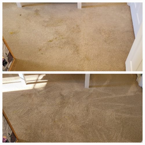 Carpet-Cleaning-Service-Ventura-13