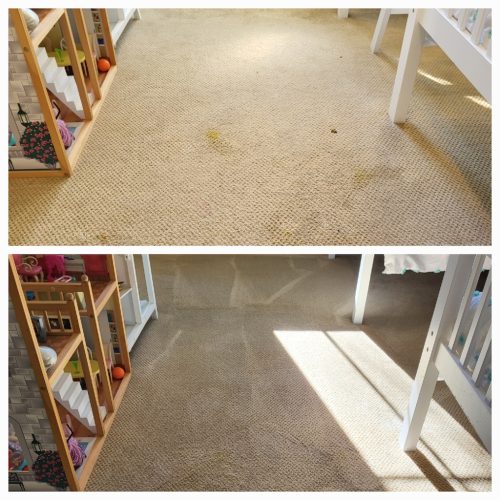 Carpet-Cleaning-Service-Ventura-14