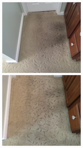 Carpet-Cleaning-Service-Ventura-5