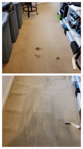 Carpet-Cleaning-Service-Ventura-8