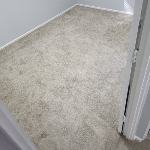 Carpet-Cleaning-Thousand-Oaks-CA-399