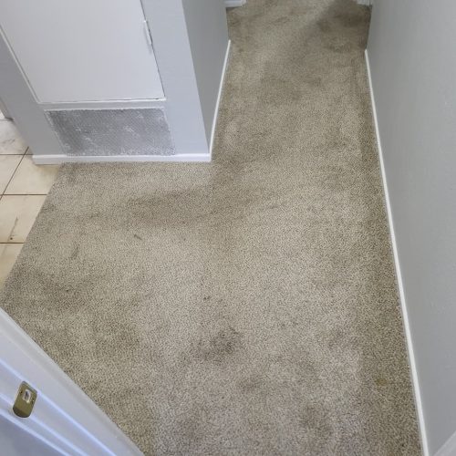 Carpet-Cleaning-Thousand-Oaks-CA-400
