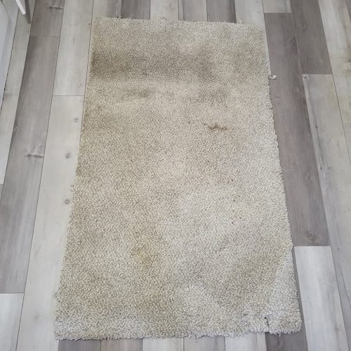 Carpet-Cleaning-Thousand-Oaks-CA-401