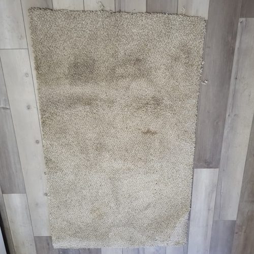 Carpet-Cleaning-Thousand-Oaks-CA-402