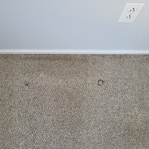 Carpet-Cleaning-Thousand-Oaks-CA-406