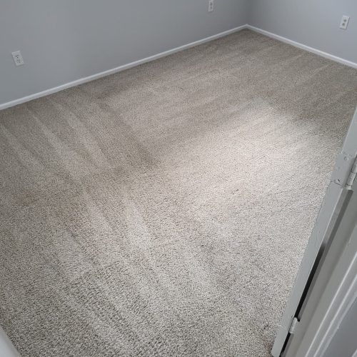 Carpet-Cleaning-Thousand-Oaks-CA-414