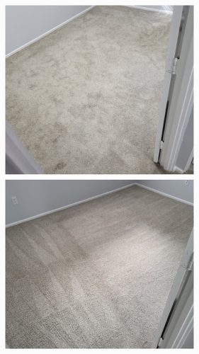 Carpet-Cleaning-Thousand-Oaks-CA-425