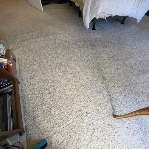Thousand-Oaks-Carpet-Cleaner-10-13-26-1