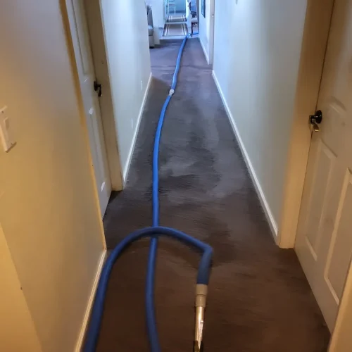 Thousand-Oaks-Carpet-Cleaner-10-13-26-3