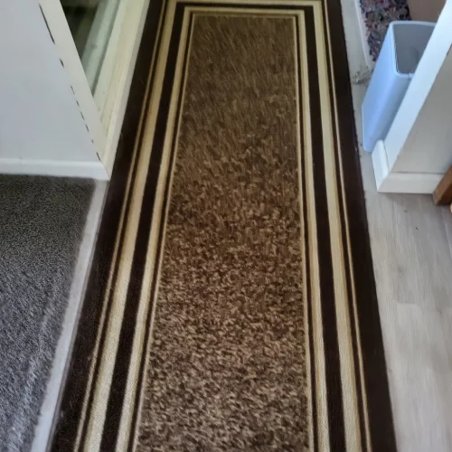 Thousand-Oaks-Carpet-Cleaner-10-13-26-4