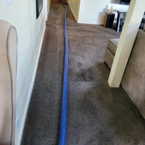 Thousand-Oaks-Carpet-Cleaner-10-13-26-5