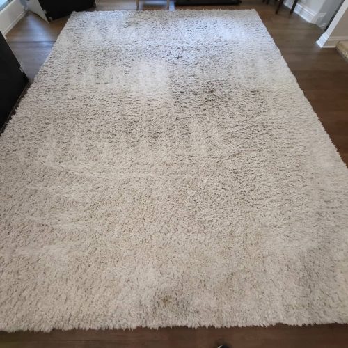 carpet-cleaning-service-thousand-oaks-ca-273