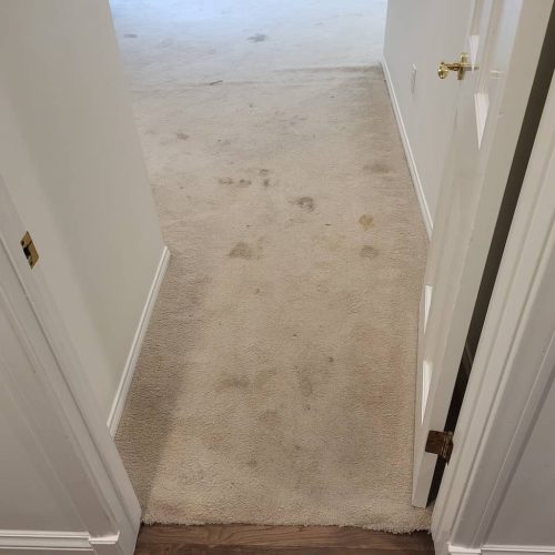 carpet-cleaning-service-thousand-oaks-ca-279
